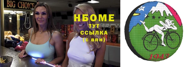 стаф Инта