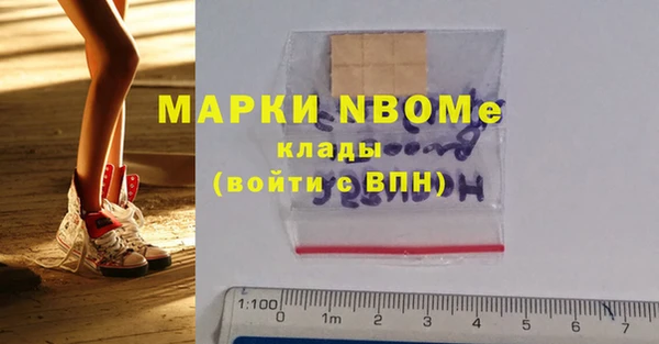 СК Дмитров