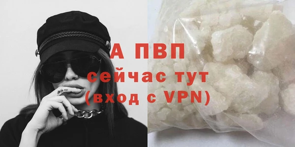 трава Белокуриха